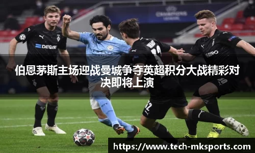 mk体育登录入口